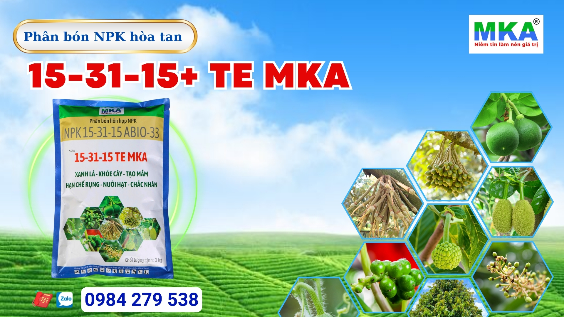 Phân bón NPK 15-31-15 + TE là gì